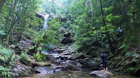 Avocat Waterfall Trinidad And Tobago Youtube