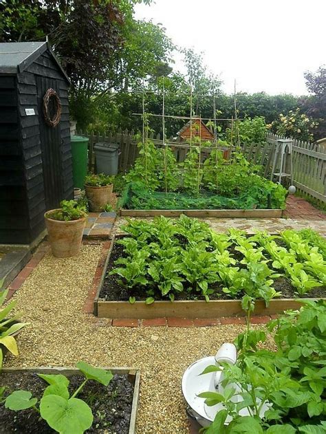 Raised Garden Beds With Pea Gravel Mulch And Edging Ideas Raised Vegetable Gardens Vegetable