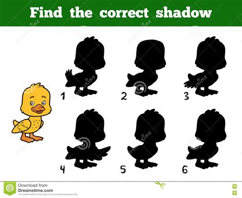 Find the Correct Shadow. Little Duck Stock Vector - Illustration of ...