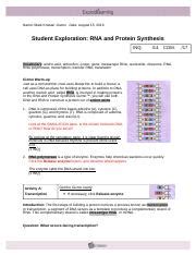 Codon analogy with key and. GIZMO 5 - RNA AND PROTEIN SYNTHESIS REVISED - Name Date ...