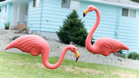 Diy Make Your Own Pink Lawn Flamingo Because Why The Heck Not