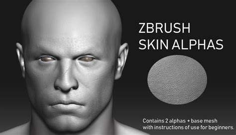 Artstation Zbrush Skin Pores Alpha With Base Mesh Brushes