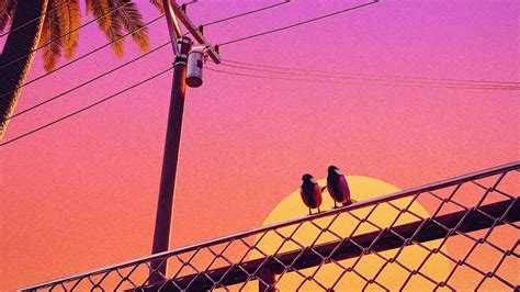 1920x1080 Birds Chillwave Laptop Full Hd 1080p Hd 4k Wallpapers Images