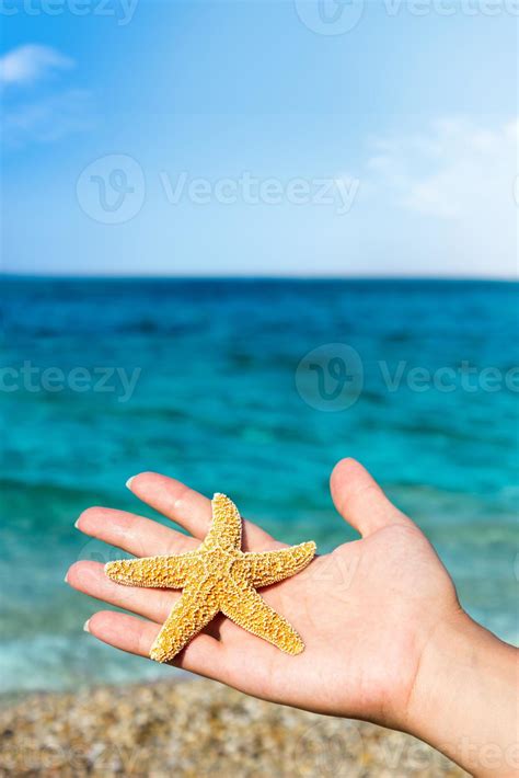 Woman Holding Starfish In His Hand On The Sandy Beach Stock Photo At Vecteezy