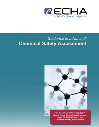 Chemical Safety Assessment ECHA Europa
