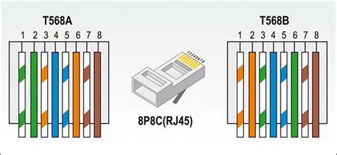 Cat5 B Wiring Diagram Rj45 Ethernet Wiring Diagram Cat 6 Color Code