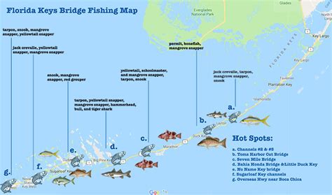 Best Florida Keys Bridge Fishing Spots All You Need To Know