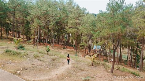 Both business travelers and tourists can enjoy the property's facilities and services. Ranu Gumbolo Tulungagung Wisata Tepi Waduk Wonorejo ...