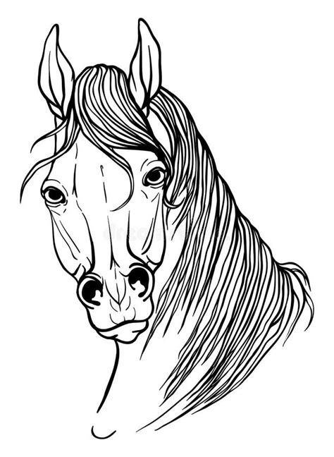 Desenhos Para Colorir Cavalos Imagens Animadas S Animados Porn Sex Picture