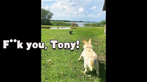 Whats Your Name Ezekiel Dogsblog Posts.html