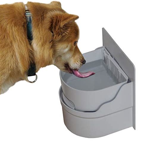 Top 10 Best Outdoor Dog Water Bowls And Fountains Updated 2020