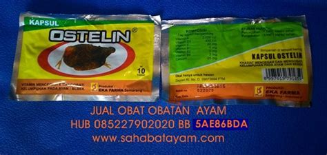 Check spelling or type a new query. obat ayam lumpuh, cara mengobati ayam lumpuh, obat ...