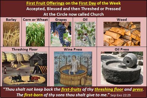 Our Fathers Kingdom Of America First Fruit Offerings For The First