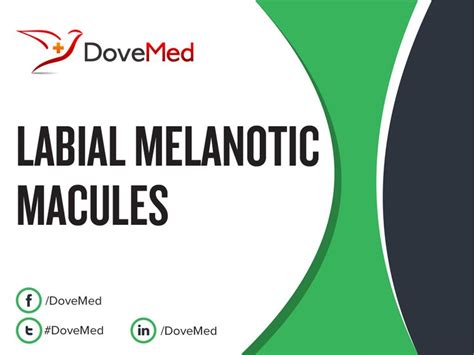 Labial Melanotic Macules