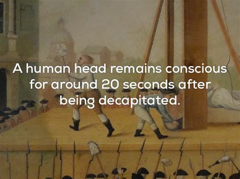 23 Creepy Facts That Are Downright Disturbing Wtf Gallery Ebaums World