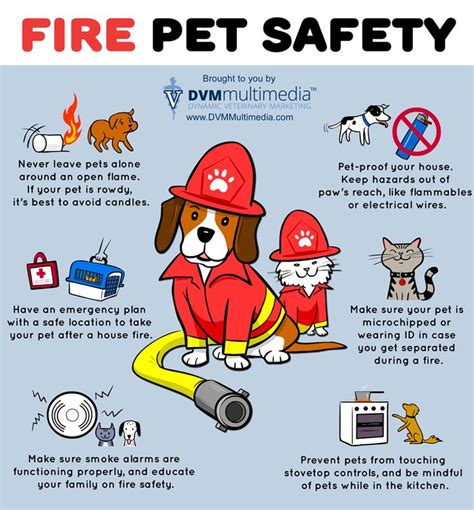 21 Best Pet Safety Tips Infographics Images On Pinterest Info