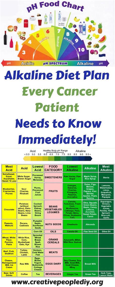 Alkaline Diet Plan That Every Cancer Patient Needs To Know Immediately