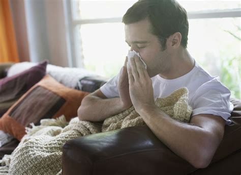 Come Curare Le Allergie Stagionali
