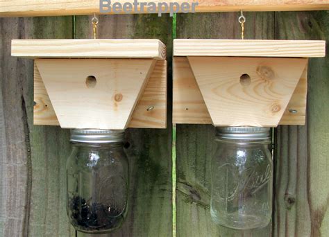 Carpenter bee traps trap for how to make a carpenter bee trap the carpenter bee traps trap for diurnal and low light foraging bees carpenter bee traps finally by. 2 Carpenter Bee Traps--- Bee and Pest Control ...