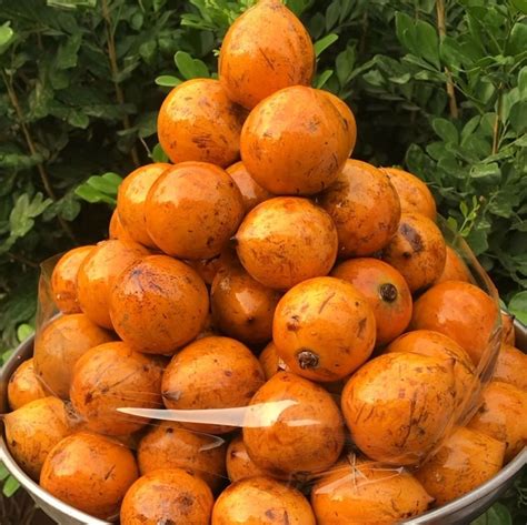 agbalumo udara sold out denkymax african food market