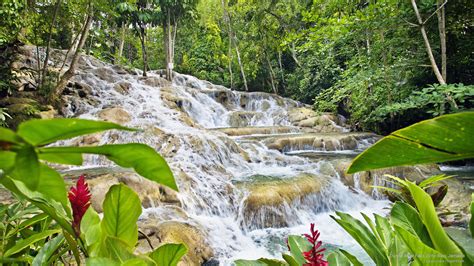 48+ Jamaica Wallpaper Screensavers on WallpaperSafari