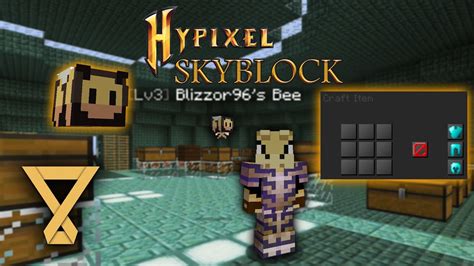 Pets & Quality of Life Update - Minecraft Hypixel Skyblock ...