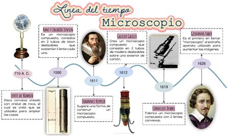 Linea Del Tiempo Del Microscopio Ranita Cientifica Udocz Porn Sex Picture