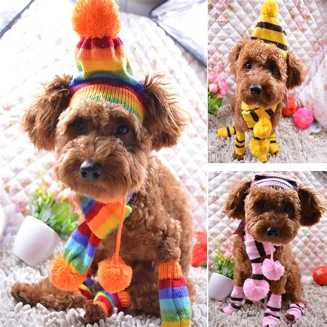Zero 6pcset Dog Pet Puppy Hat Scarf Leg Warmer Pet Clothespuppy Hat