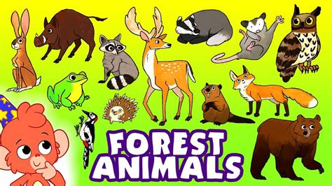 Learn Animals For Kids Wild Forest Animals Names And