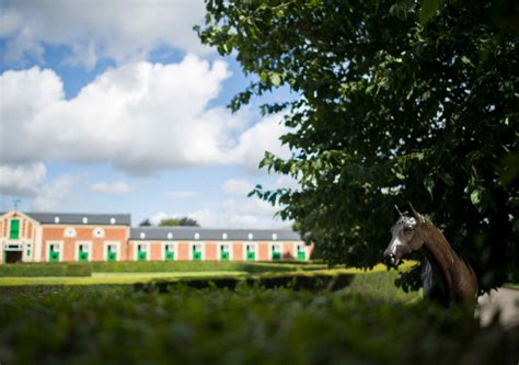 Learn About The Heritage And History Of Heath House Stables