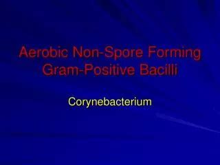PPT Aerobic Gram Negative Nonenteric Bacilli PowerPoint Presentation ID