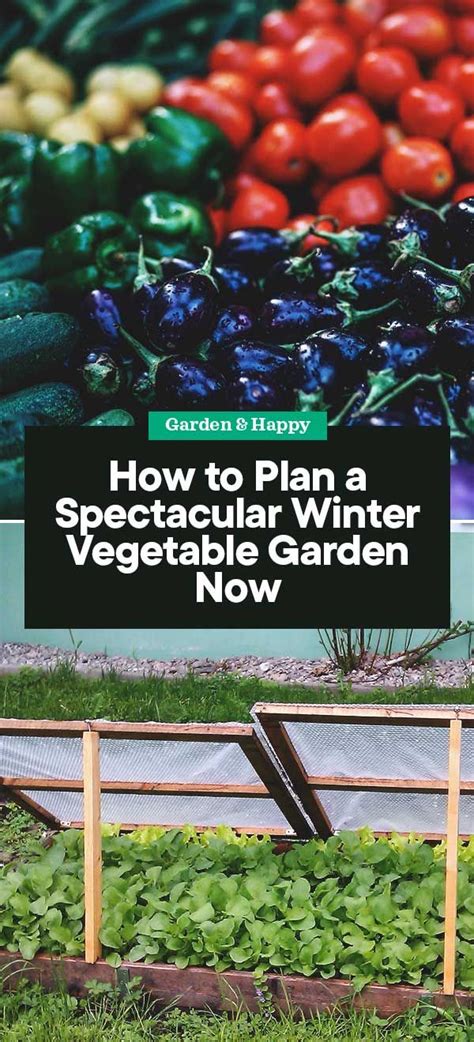 How To Plan A Spectacular Winter Vegetable Garden Now Vegetable