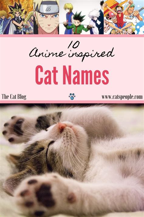 10 Anime Inspired Cat Names | Cat names, Anime pet, Anime cat names