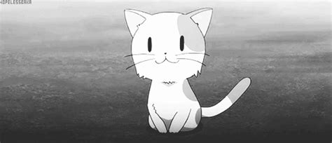 Anime Cat S Find Make And Share Gfycat S