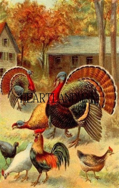 happy thanksgiving turkey vintage image digital download etsy