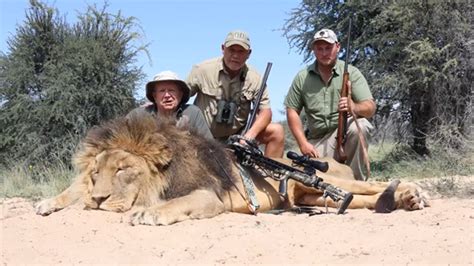 Canned Hunting Is Still Rife In South Africa