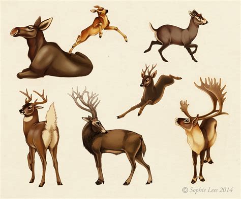 Deer By Mo On Deviantart Animal Art Deer Art