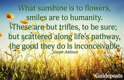 9 Inspiring Sunshine Quotes Sunshine Quotes Sunshine Quotes