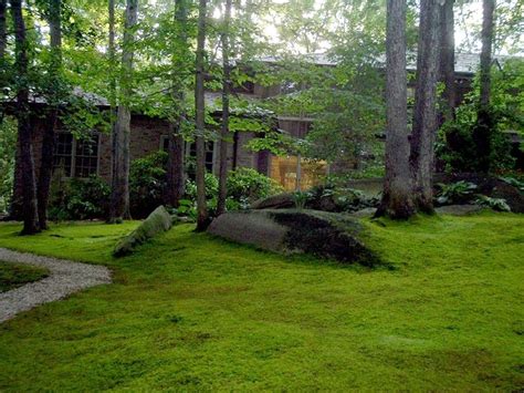 As the saying goes, you never get a second chance to make a first impression. the same goes for your home. no more mowing.....moss is boss....wouldn't you love to ...