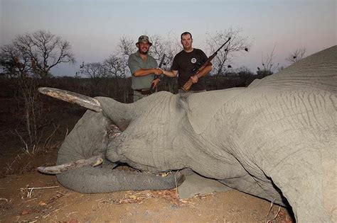 Trophy Hunting The Elephant In South Africa Ash Adventures