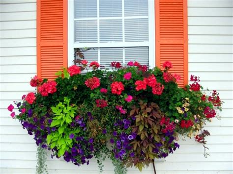 Check spelling or type a new query. 15 were central window decoration and gardening ideas ...