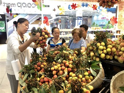Công an huyện lục ngạn (bắc giang) khuyến cáo người dân khi giao dịch, mua bán vải thiều cần đối chiếu.xem tiếp>>>. Kích cầu tiêu thụ vải thiều Bắc Giang, Hải Dương - Báo ...