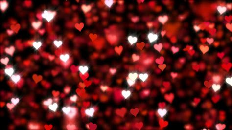 Red Love Heart Background 41 Pictures
