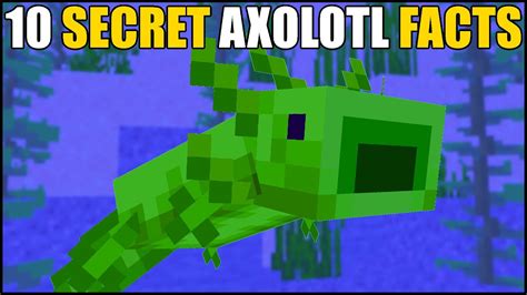 Minecraft 10 Secret Axolotl Facts Youtube