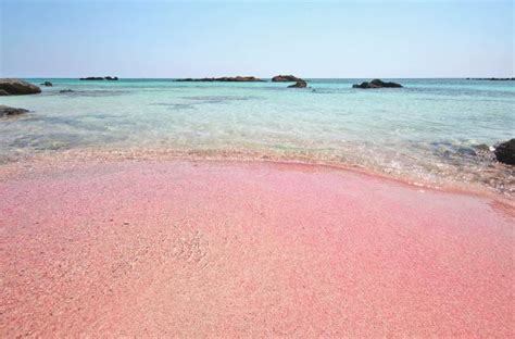 Elafonisi op kreta is een paradijselijk strand met roze zand. Plaża Elafonisi, Kreta, Grecja - Strona 7 - Turystyka - WP.PL