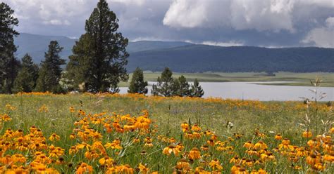 Best things to do in Greer and Arizona's White Mountains