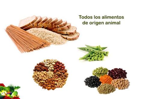 La tiamina se sintetizó en forma pura y ahora se mide en miligramos. Las mejores fuentes de Tiamina o Vitamina B1. - Paperblog