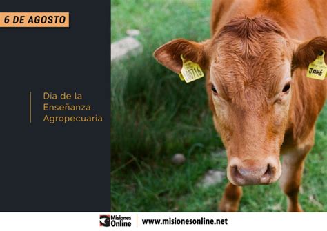 El 17 de junio se celebra el día mundial de la tapa 2021. ¿Por qué se celebra hoy el Día de la Enseñanza ...