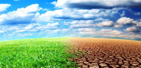 Ver más ideas sobre cambio climatico, climatico, medio ambiente. Retos del cambio climático - De Verdad digital