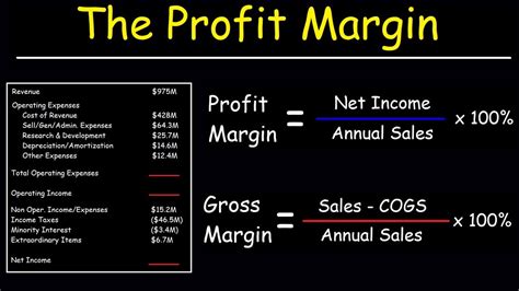 Profit Margin Gross Margin And Operating Margin With Income